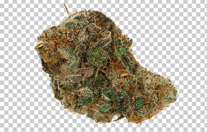 Medical Cannabis Cannabis Cultivation Cannabis Shop Kush PNG, Clipart, Blue Dream, Cannabis, Cannabis Cultivation, Cannabis Shop, Dead Head Free PNG Download
