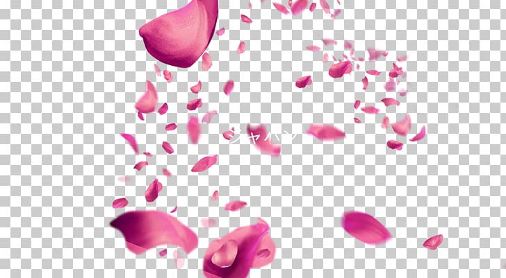 Petal Pink Cherry Blossom PNG, Clipart, Blossom, Blossoms, Cherry, Cherry Blossom, Cherry Blossoms Free PNG Download
