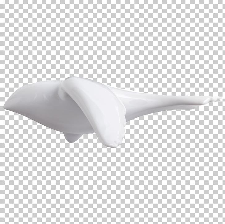 Wayfair Ceramic Dove PNG, Clipart, Ceramic, Cyan, Dove, Mammal, Marine Mammal Free PNG Download