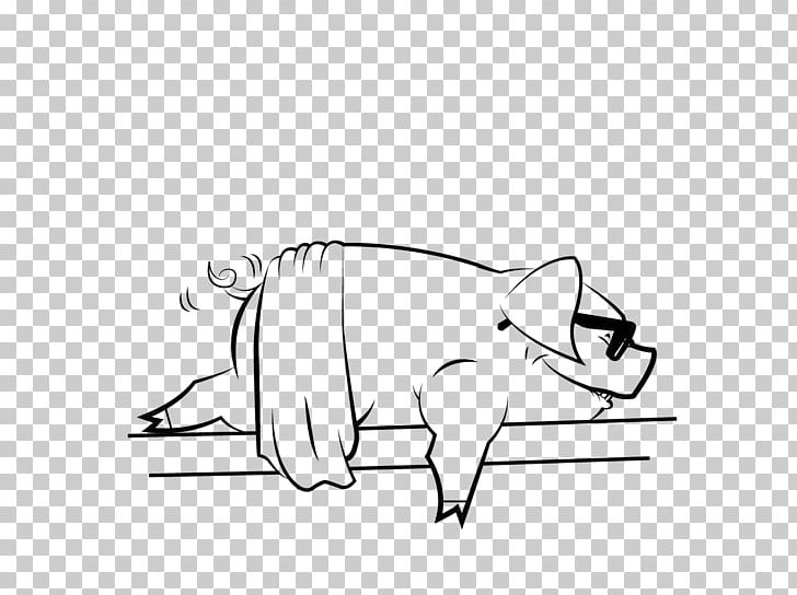 Whiskers Dog Cat Bear Macropodidae PNG, Clipart, Angle, Animals, Arm, Black, Bourbon Free PNG Download