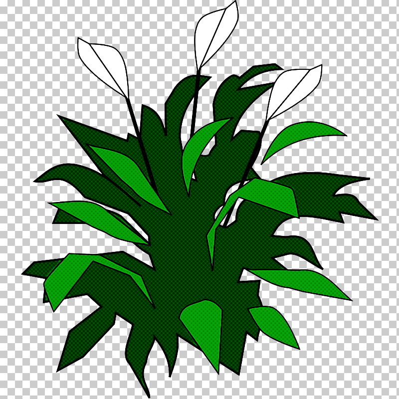 Leaf Green Plant Flower Vascular Plant PNG, Clipart, Flower, Green, Houseplant, Leaf, Plant Free PNG Download