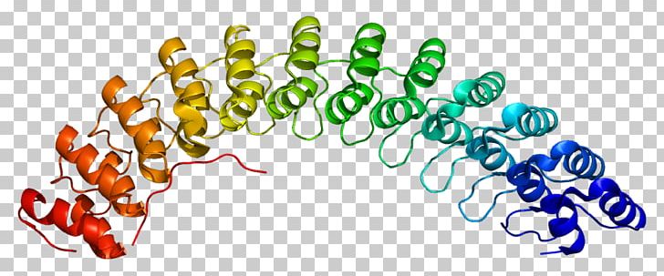 Ankyrin Repeat ANK1 Gene Protein PNG, Clipart, 1 N, Ank, Biology, Gene, Gene Nomenclature Free PNG Download