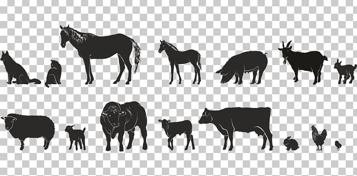 Finnish Presidential Election PNG, Clipart, Agriculture, Animal, Animal Husbandry, Black And White, Fauna Free PNG Download