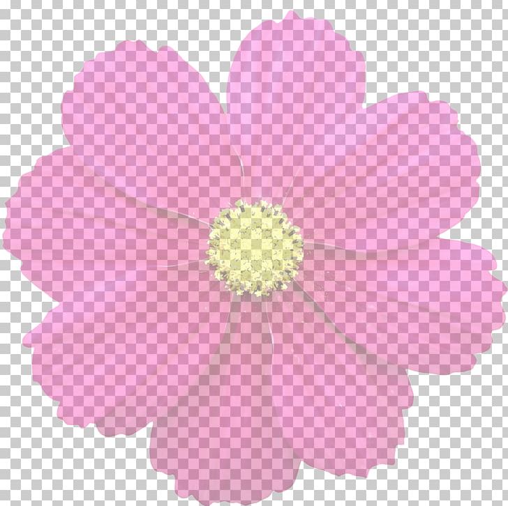 Flower PNG, Clipart, Annual Plant, Cosmos, Cut Flowers, Daisy Family, Floral Design Free PNG Download