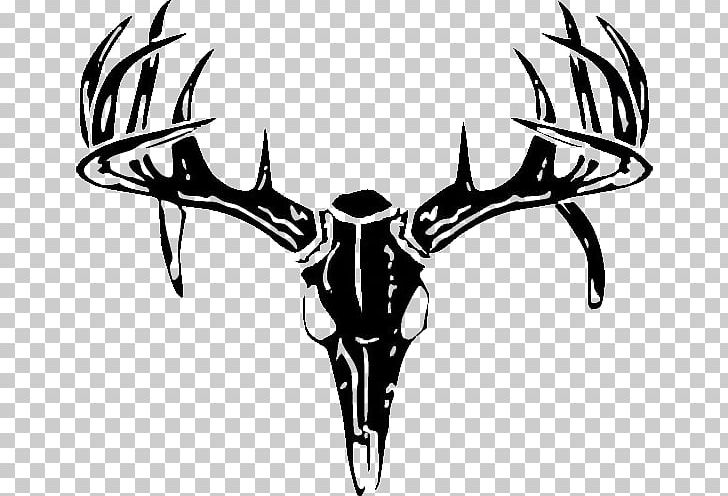 White-tailed Deer Decal Sticker Hunting PNG, Clipart, Animals, Antler, Bone, Cattle Like Mammal, Decal Free PNG Download