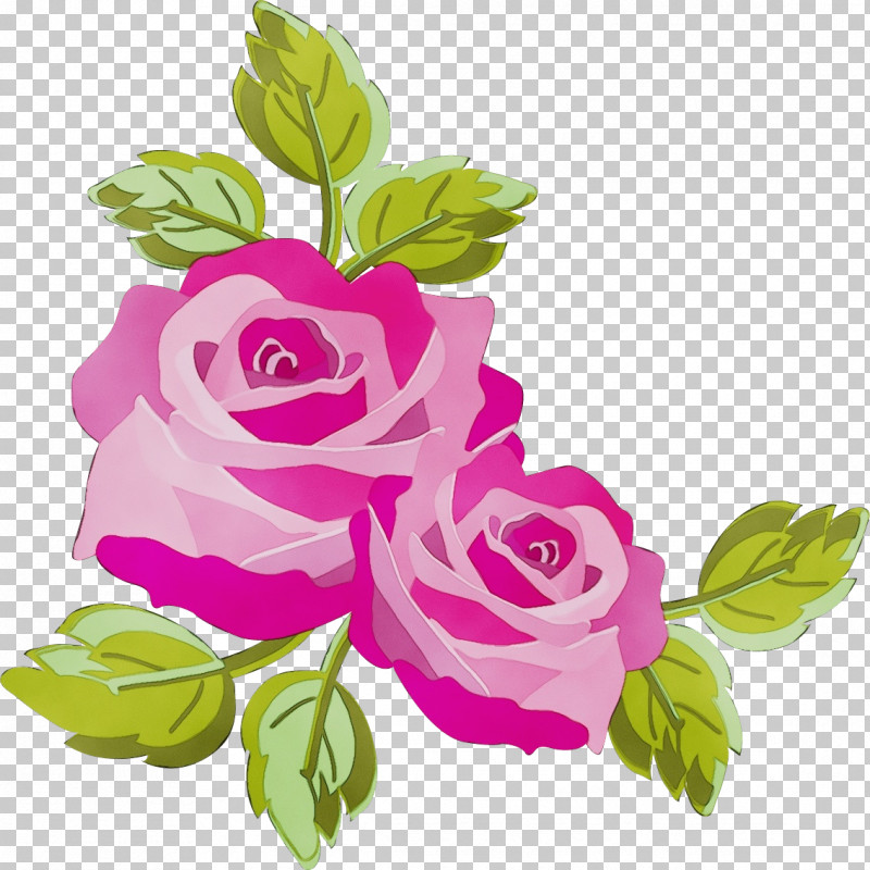 Garden Roses PNG, Clipart, Cut Flowers, Flower, Garden Roses, Hybrid Tea Rose, Leaf Free PNG Download