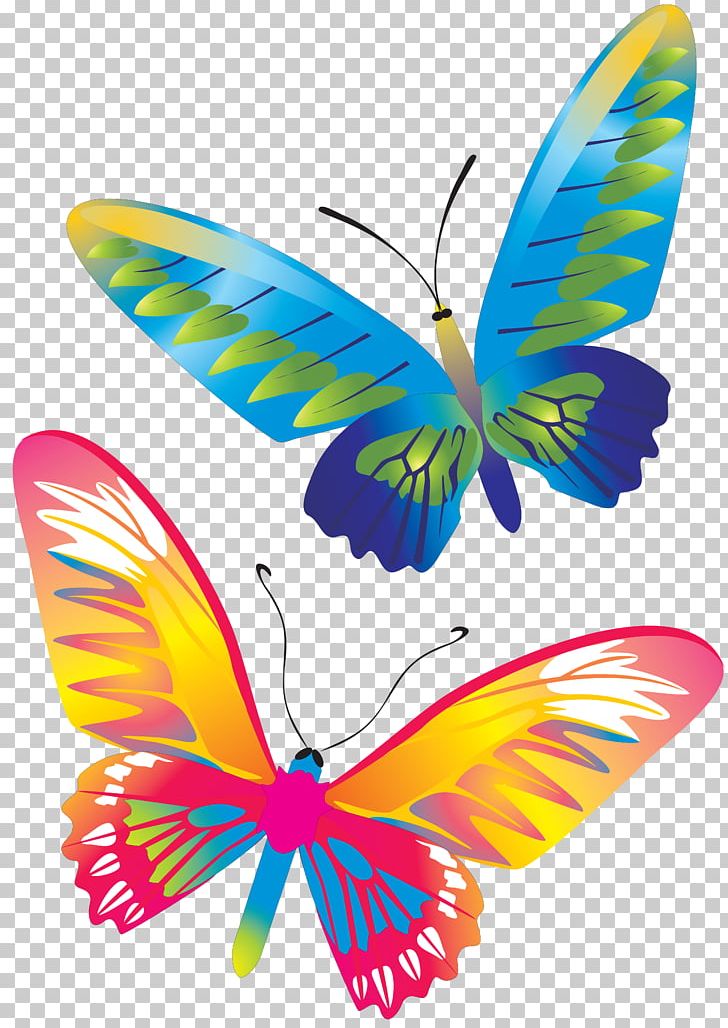 Butterfly CorelDRAW PNG, Clipart, Brush Footed Butterfly, Butterflies And Moths, Butterfly, Coreldraw, Encapsulated Postscript Free PNG Download