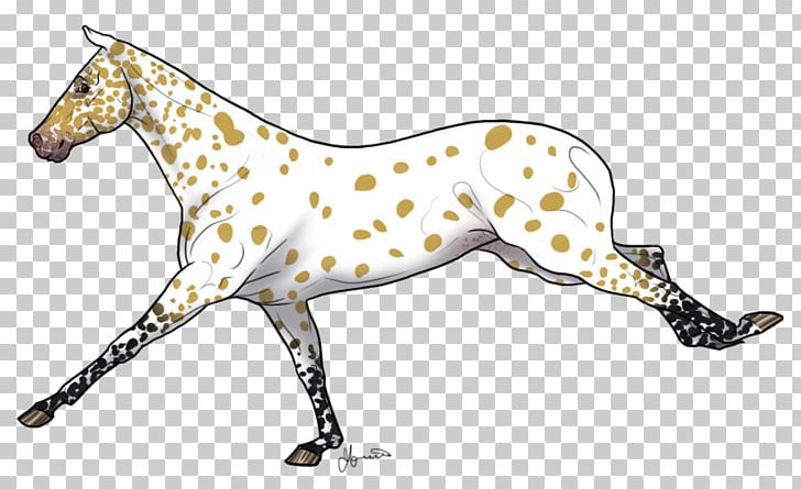 Dog Breed Italian Greyhound Mustang Non-sporting Group PNG, Clipart, Animal, Animal Figure, Breed, Carnivoran, Dog Breed Free PNG Download