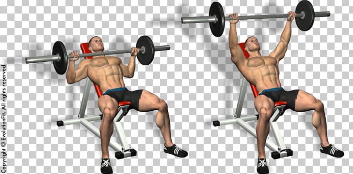 Exercise Bench Press Physical Fitness Fitness Centre PNG, Clipart,  Free PNG Download
