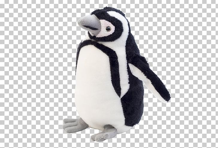 Penguin Stuffed Animals & Cuddly Toys Beak PNG, Clipart, Animals, Beak, Bird, Flightless Bird, Moreia Free PNG Download