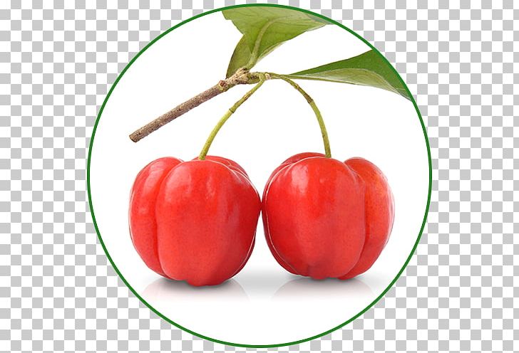 Barbados Cherry Vitamin Fruit Pyridoxine Wild Crapemyrtle PNG, Clipart, Acerola, Amino Acid, Barbados Cherry, Bell Peppers And Chili Peppers, Biotin Free PNG Download
