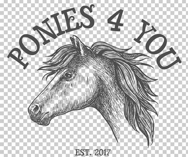 Mane Mustang Donkey Sketch Pack Animal PNG, Clipart, Black, Black And White, Cartoon, Donkey, Drawing Free PNG Download