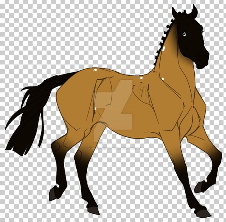 Mustang Foal Stallion Rein Mane PNG, Clipart,  Free PNG Download