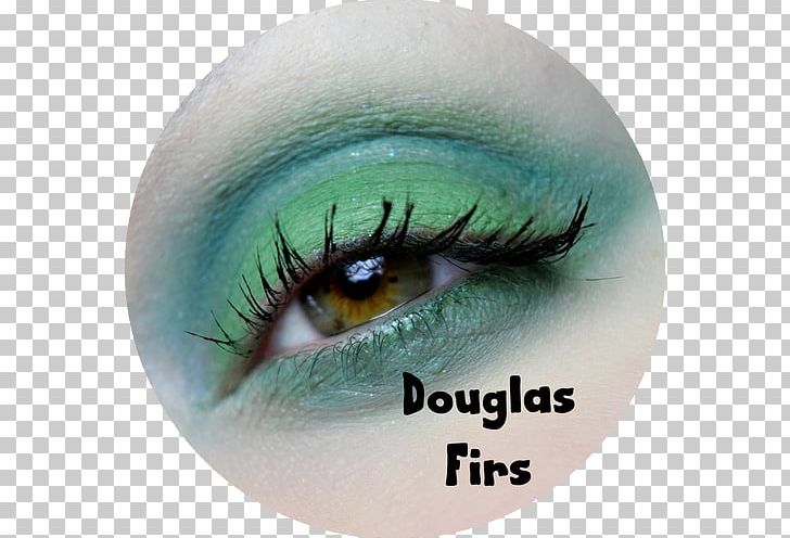 Blue Green Eye Color Teal PNG, Clipart, Black, Blue, Burgundy, Closeup, Color Free PNG Download