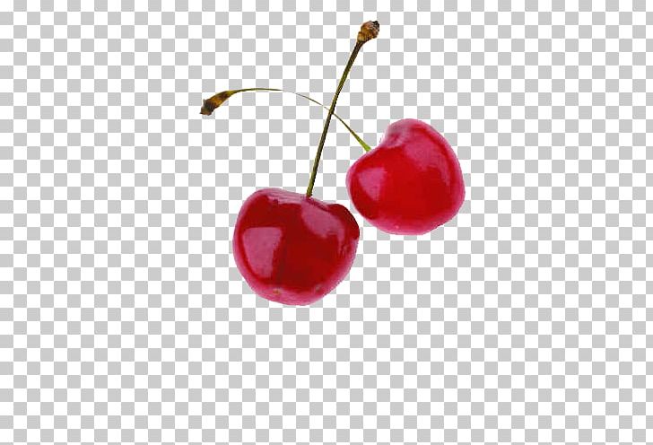 Icing Sweet Cherry Fruit Red PNG, Clipart, Berry, Cerasus, Cherries, Cherry, Cherry Blossom Free PNG Download