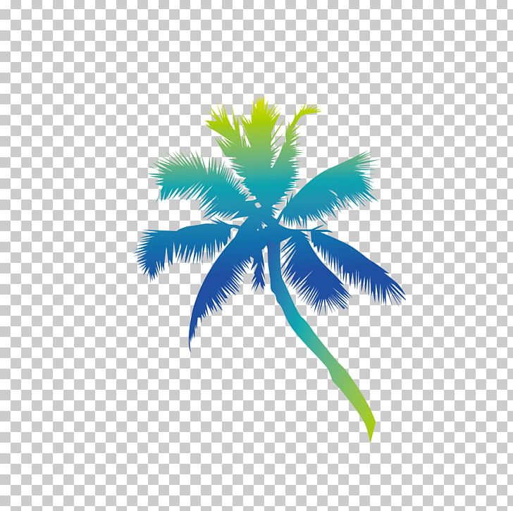 Nevis Euclidean Festival Blues Coconut PNG, Clipart, Autumn Tree, Christmas Tree, Coconut, Coconut Tree, Coconut Vector Free PNG Download