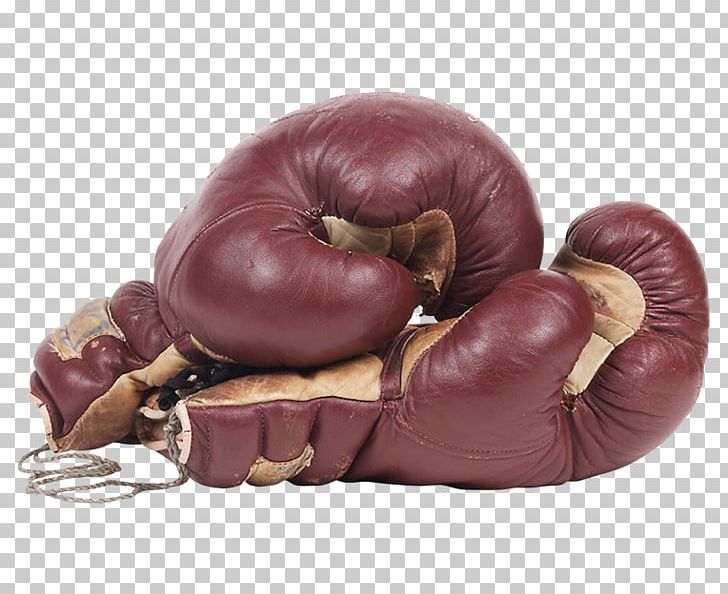 Boxing Glove Champion Boxing PNG, Clipart, Box, Boxing, Boxing Glove, Boxing Sets, Cardboard Box Free PNG Download
