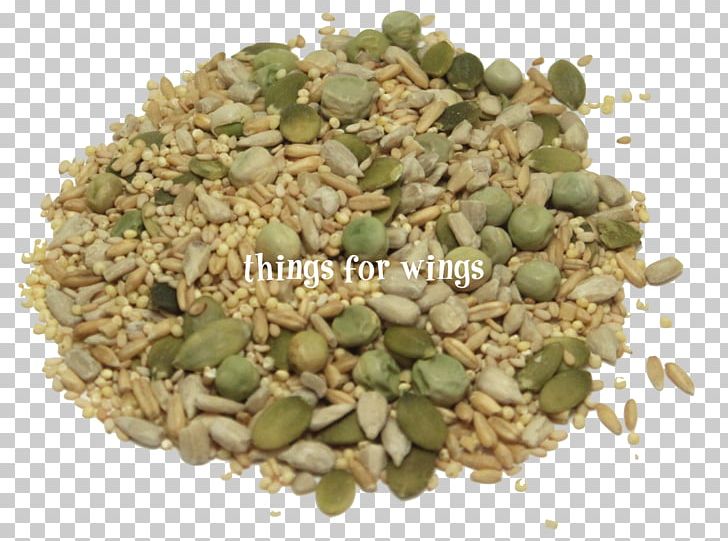 Organic Food Sprouting Herb Organic Certification PNG, Clipart, Avian, Berry, Bilberry, Comfrey, Commodity Free PNG Download