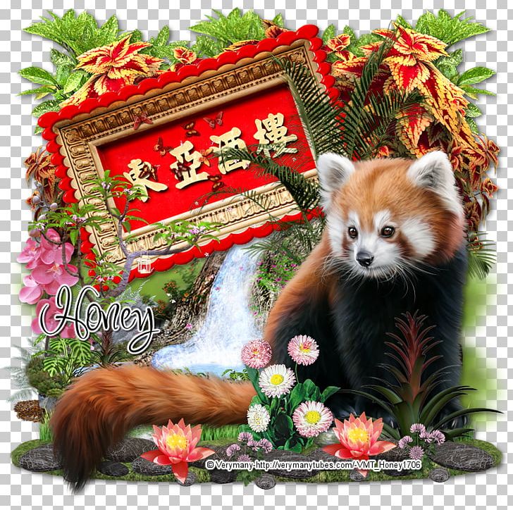Red Panda Raccoon Giant Panda PNG, Clipart, Animals, Carnivoran, Fauna, Giant Panda, Lemon Residences Free PNG Download