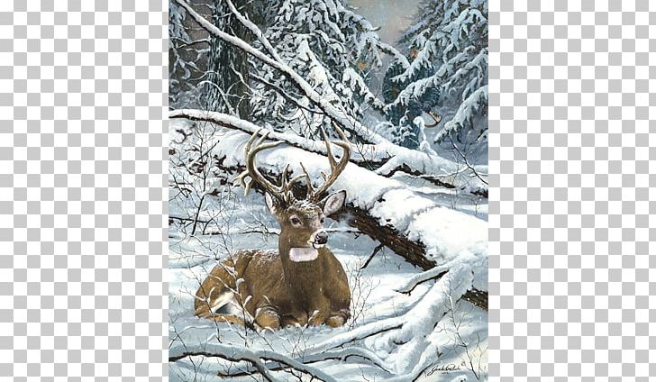 Reindeer White-tailed Deer Elk Deer Hunting PNG, Clipart, Antler, Art, Bowhunting, Deer, Deer Hunting Free PNG Download