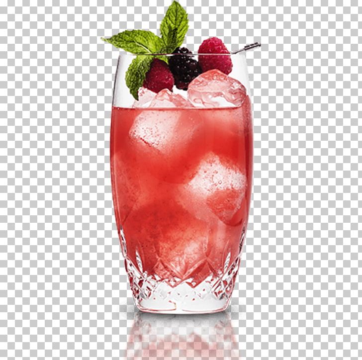 Cocktail Garnish Sea Breeze Bay Breeze Elderflower Cordial PNG, Clipart, Alcoholic Drink, Bacardi Cocktail, Batida, Bay Breeze, Berry Free PNG Download