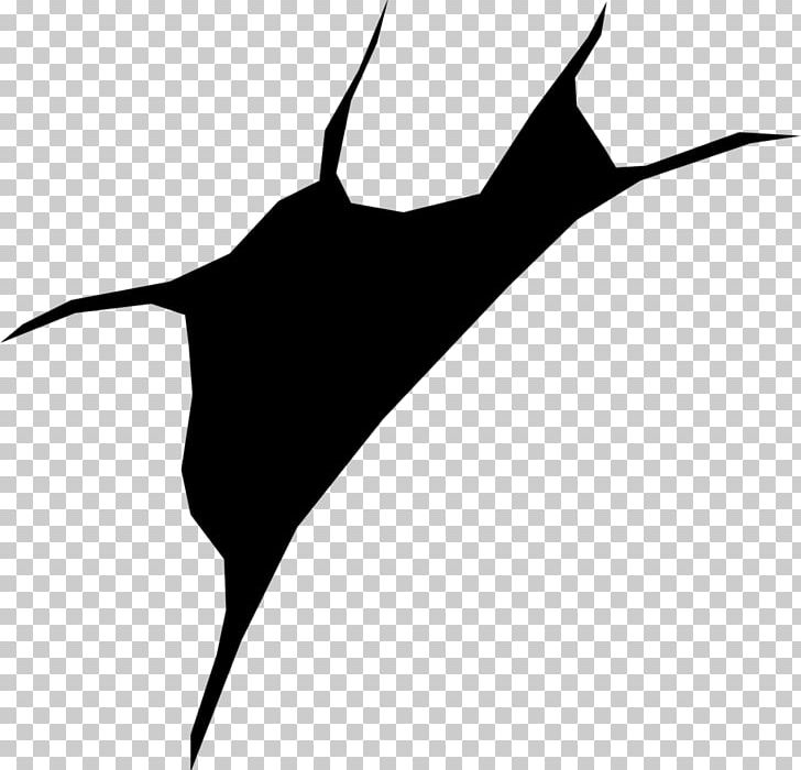 Marine Mammal Leaf Photography PNG, Clipart, Art, Beak, Black And White, Deviantart, Dolphin Free PNG Download