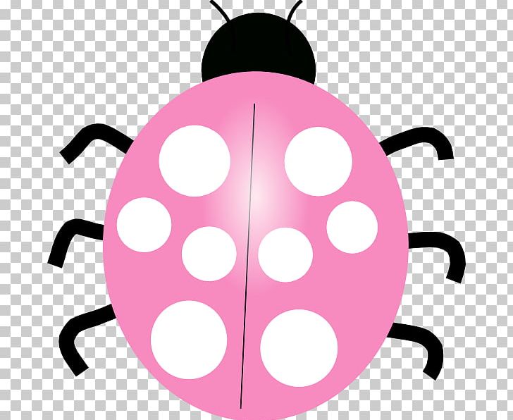 Ladybird Beetle PNG, Clipart, Animal, Animals, Artwork, Beetle, Document Free PNG Download