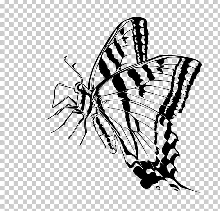 Monarch Butterfly Moth Brush-footed Butterflies PNG, Clipart, Animal, Art, Arthropod, Artwork, Black And White Free PNG Download