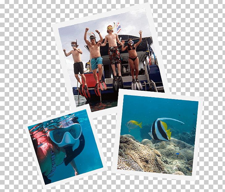 Pattaya Scuba Adventures Thailand Pattaya Dive Centre: PADI 5-Star IDC Scuba Diving Professional Association Of Diving Instructors Adventure Diving PNG, Clipart, Coral Reef, Dive Center, Leisure, Others, Pattaya Free PNG Download