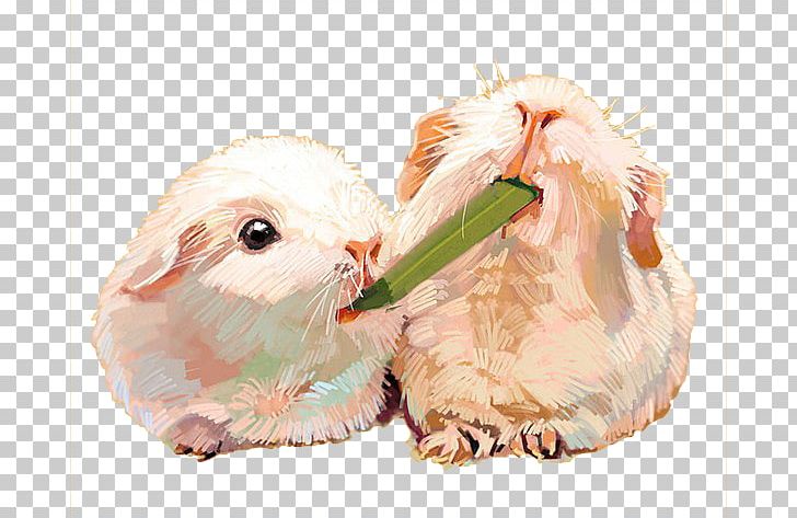 Rabbit Watercolor Painting Cartoon PNG, Clipart, Animals, Beak, Cartoon, Download, Drawing Free PNG Download