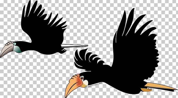 Bald Eagle Bird Hornbill Tropical Rainforest PNG, Clipart,  Free PNG Download