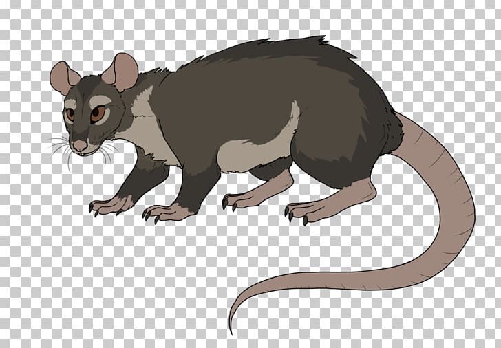 Mouse Common Opossum Rat Rodent Mammal PNG, Clipart, Animal, Animal Figure, Animals, Carnivora, Carnivoran Free PNG Download