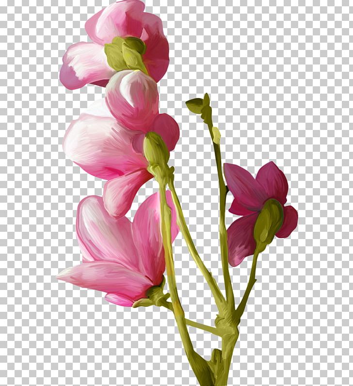 Watercolor Painting Flower PNG, Clipart, Blossom, Branch, Bud, Cut Flowers, Download Free PNG Download
