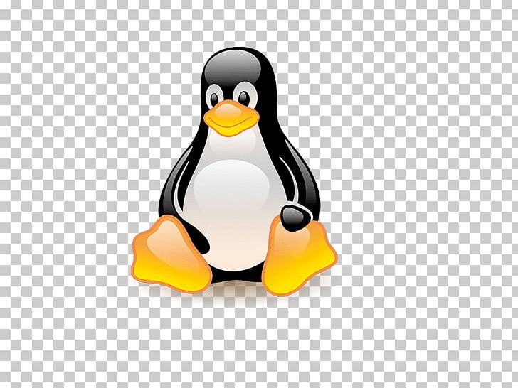 Penguin Tux Design Logo Linux PNG, Clipart, Animals, Beak, Bird, Computer Software, Design Classic Free PNG Download