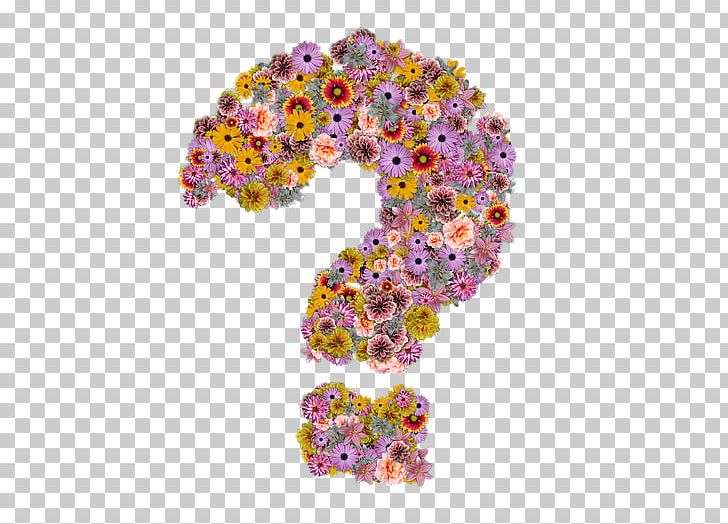 Solar Energy Information Organization Hinkley Point Question PNG, Clipart, Body Jewelry, Exclamation Mark, Health, Information, Magenta Free PNG Download