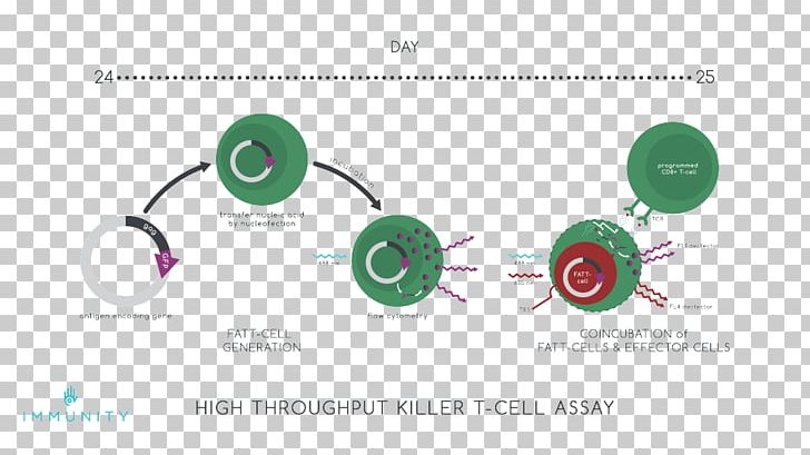 Brand HIV Vaccine Diagram PNG, Clipart, Aids, Art, Brand, Circle, Dendritic Cell Free PNG Download