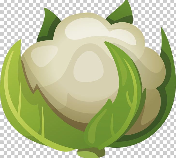 Cauliflower Cabbage Vegetable PNG, Clipart, Art, Beautifully Designed, Brass, Cabbage, Cauliflower Free PNG Download