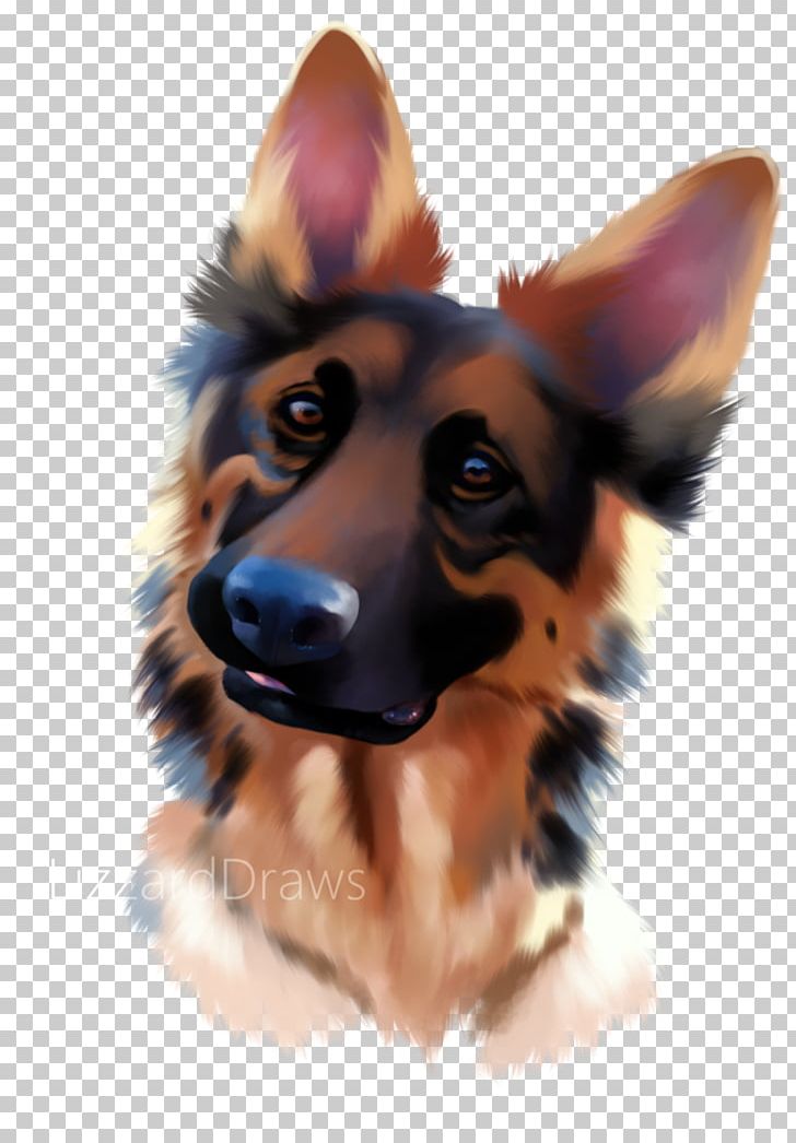 German Shepherd Puppy Companion Dog Dog Breed Snout PNG, Clipart, Animals, Breed, Carnivoran, Companion Dog, Dog Free PNG Download