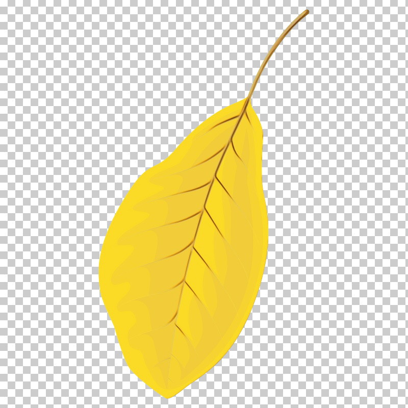 Leaf Yellow Fruit Plant Structure Science PNG, Clipart, Biology, Fruit, Leaf, Paint, Plant Free PNG Download