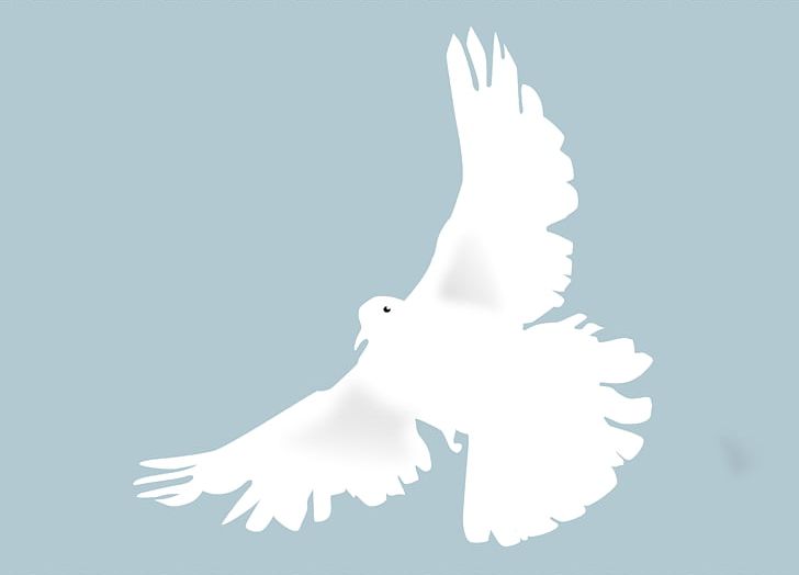 Columbidae Doves As Symbols PNG, Clipart, Beak, Bird, Bird Of Prey, Columbidae, Computer Icons Free PNG Download