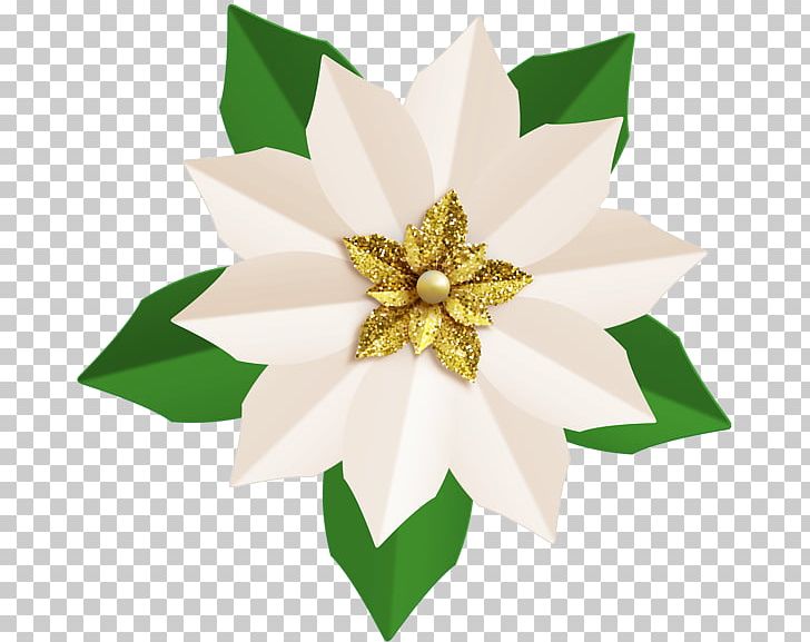 Poinsettia PNG, Clipart, Art, Art Museum, Bud, Cartoon, Christmas Free PNG Download