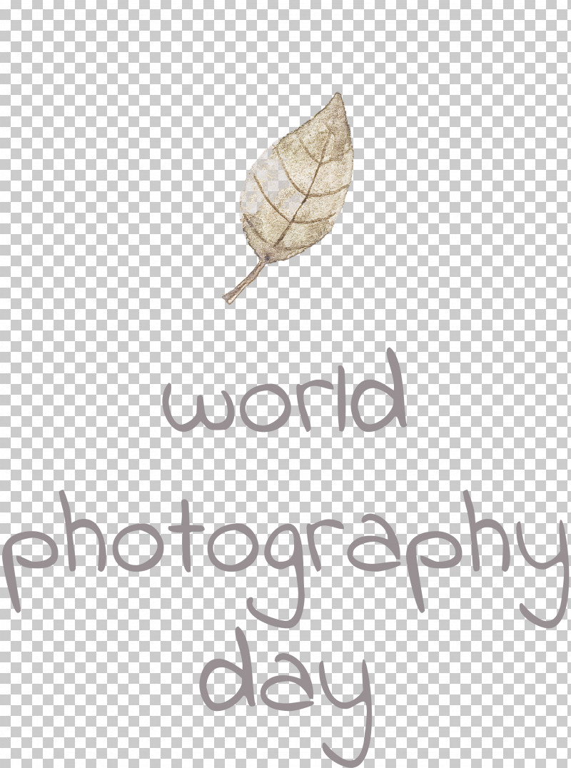 World Photography Day PNG, Clipart, Biology, Leaf, Meter, Plant, Plant Structure Free PNG Download