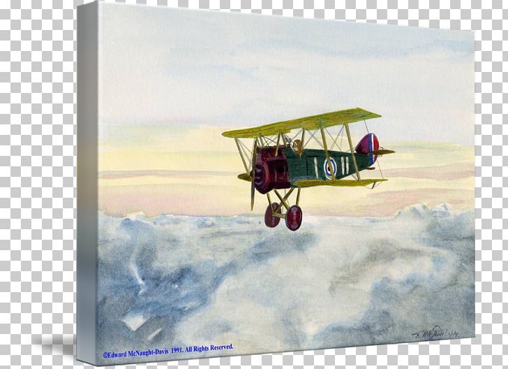 Biplane Aviation Wing Flying Ace Sky Plc PNG, Clipart, Aircraft, Airplane, Aviation, Biplane, Flying Ace Free PNG Download