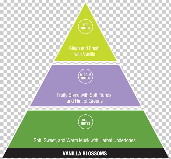 DIKW Pyramid Chart Diagram Infographic Information PNG, Clipart, Brand, Chart, Data, Diagram, Dikw Pyramid Free PNG Download