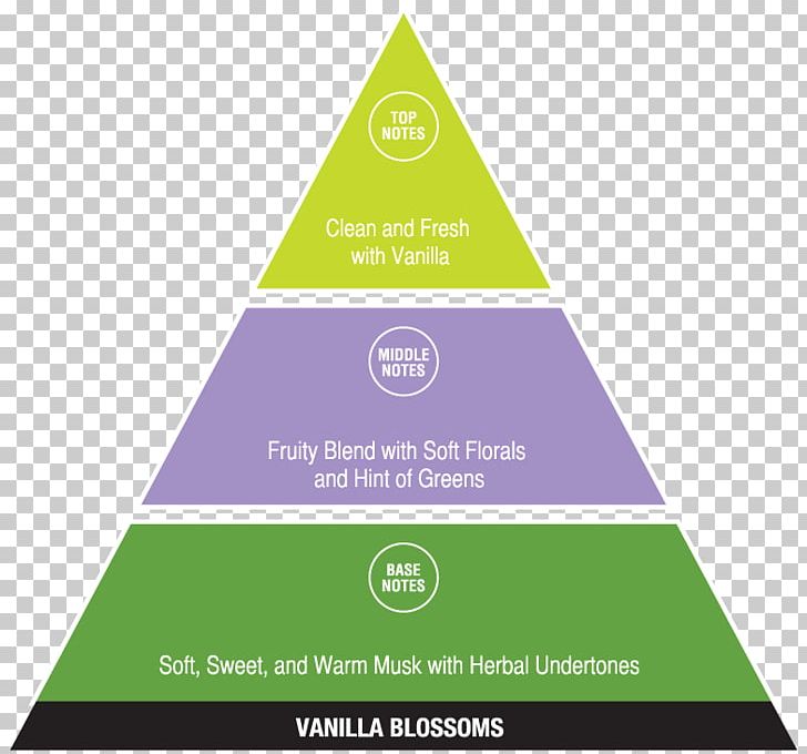 DIKW Pyramid Chart Diagram Infographic Information PNG, Clipart, Brand ...