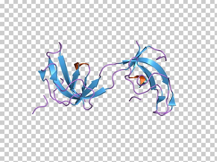 Dynactin DCTN1 Protein Subunit Art PNG, Clipart, Art, Dctn1, Domain, Dynactin, Ebi Free PNG Download