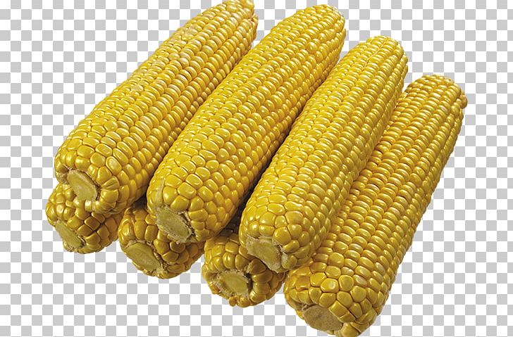 Corn On The Cob Maize IFolder DepositFiles PNG, Clipart, Commodity, Corn, Corn Kernels, Corn On The Cob, Depositfiles Free PNG Download