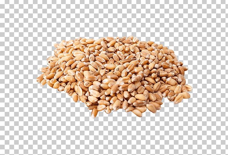 Organic Food Wheat Berry Cereal Grain Wheatgrass PNG, Clipart, Cereal, Cereal Germ, Commodity, Common Wheat, Dinkel Wheat Free PNG Download