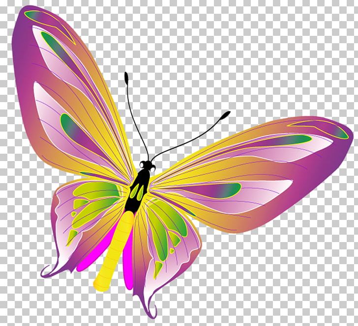 Severodvinsk Home For The Elderly And Disabled PNG, Clipart, Arthropod, Brush Footed Butterfly, Magenta, Miscellaneous, Monarch Butterfly Free PNG Download
