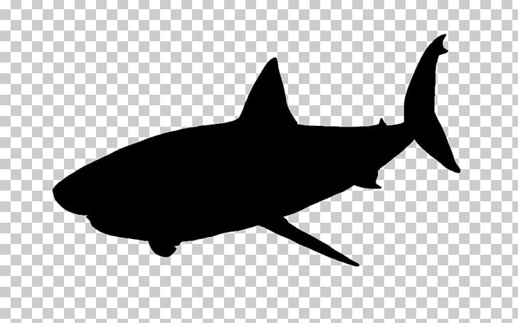 Great White Shark PNG, Clipart, Animal, Animals, Black And White, Cartilaginous Fish, Fauna Free PNG Download